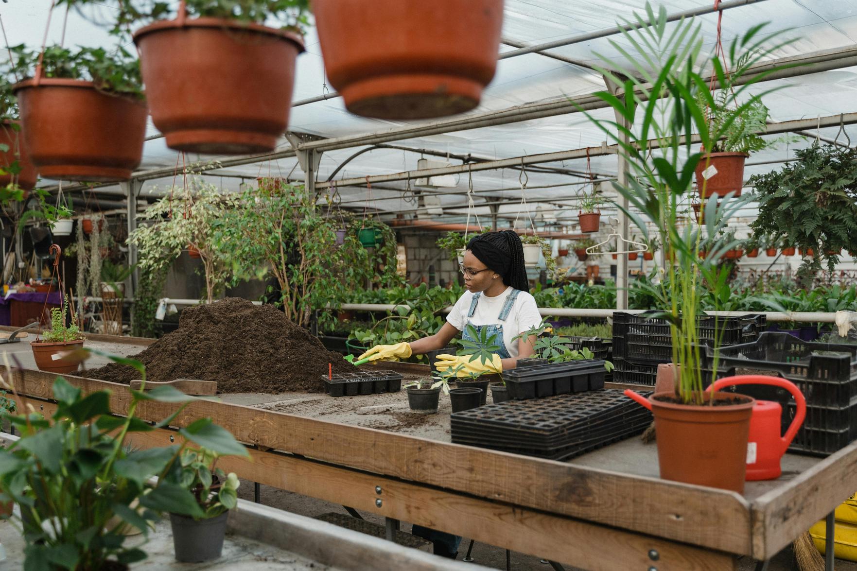 Como Escolher o Motocultivador Ideal para Jardinagem e Agricultura Sustentável