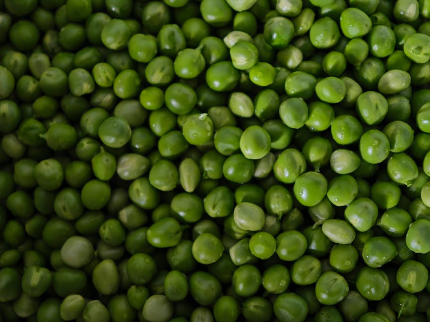 Como a Aplicação de Micronutrientes Potencializa Negócios na Jardinagem e Paisagismo