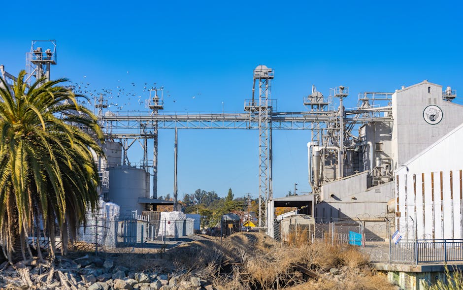 Como Estruturas Metálicas Impulsionam Negócios e Desenvolvimento Pessoal na Era da Tecnologia